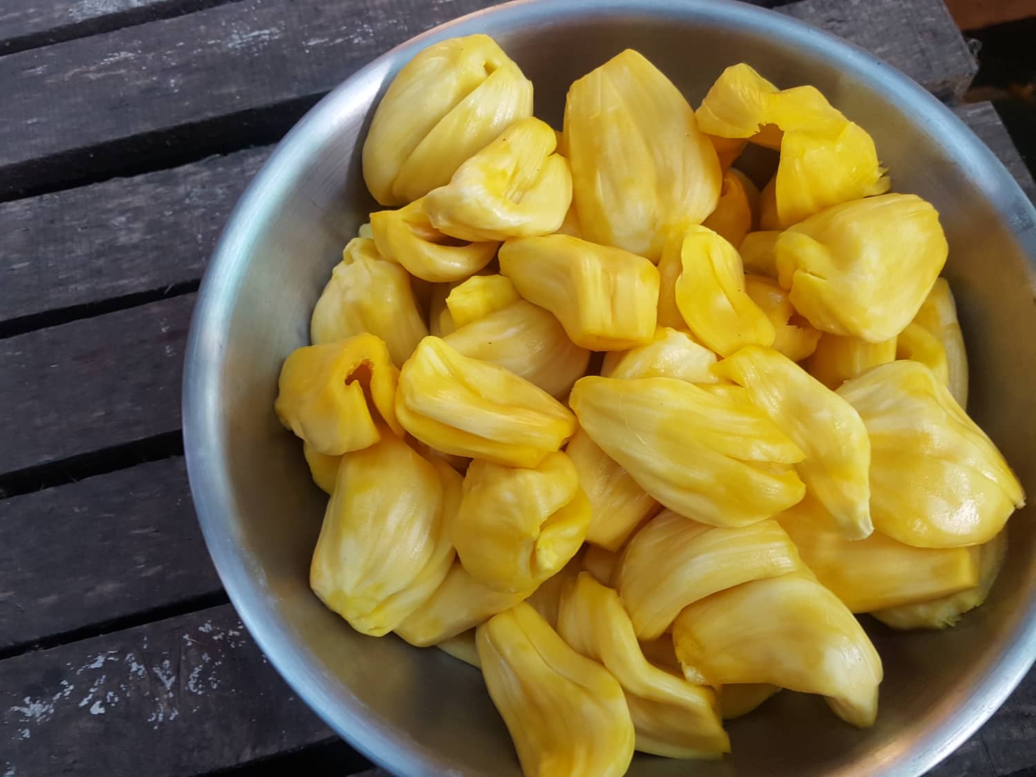 Jackfruit atributos