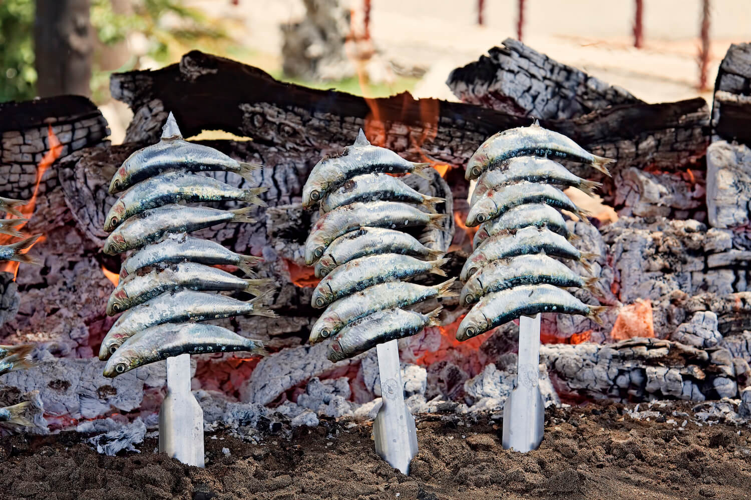 espetos de sardinas