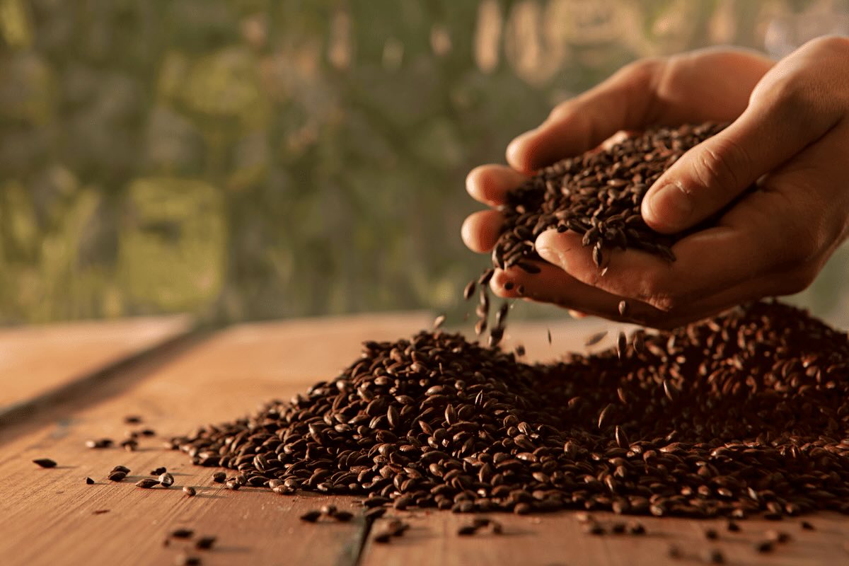 Fermentación: la diferencia entre una ale y una lager