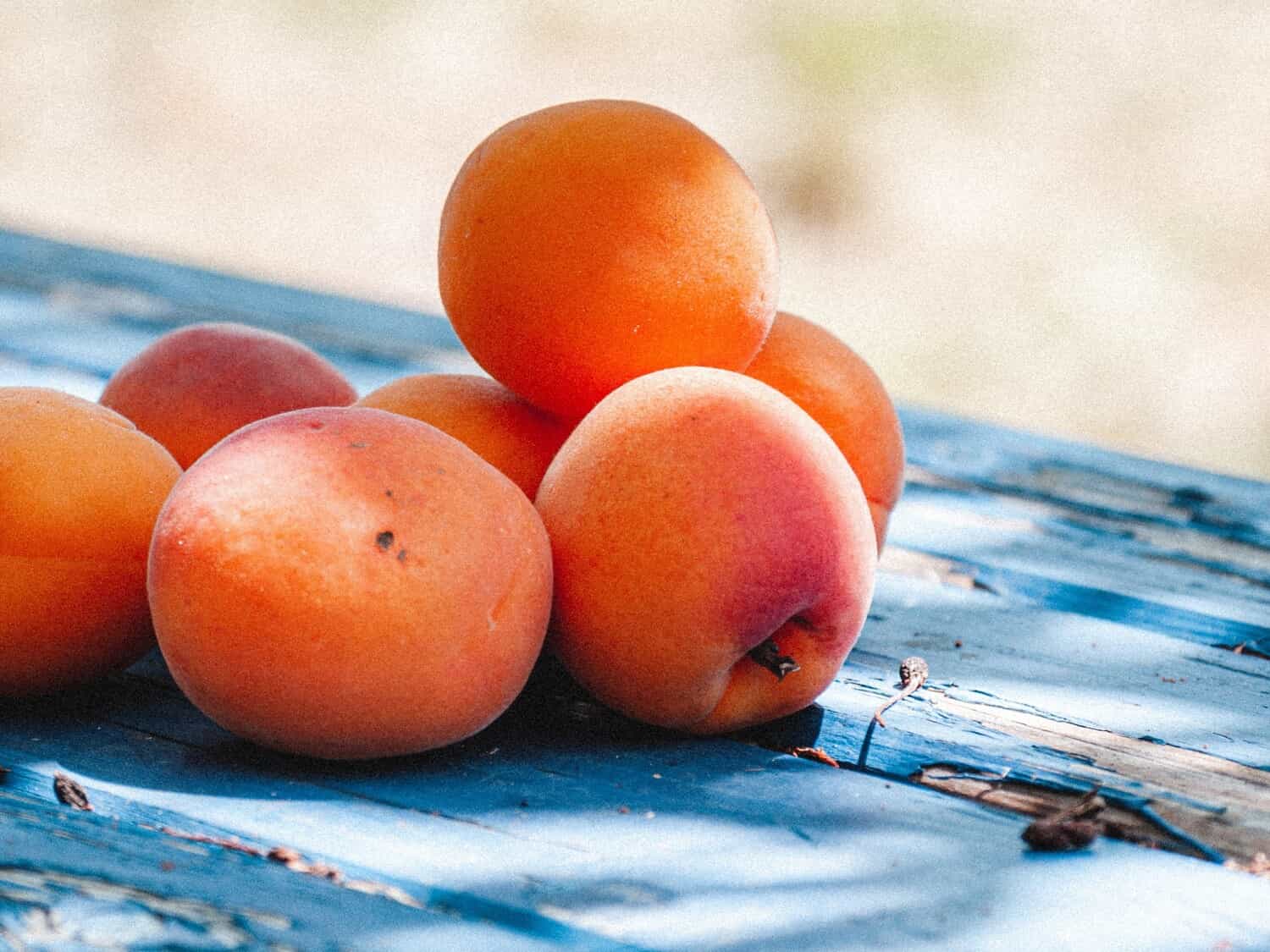 frutas de mayo albaricoque