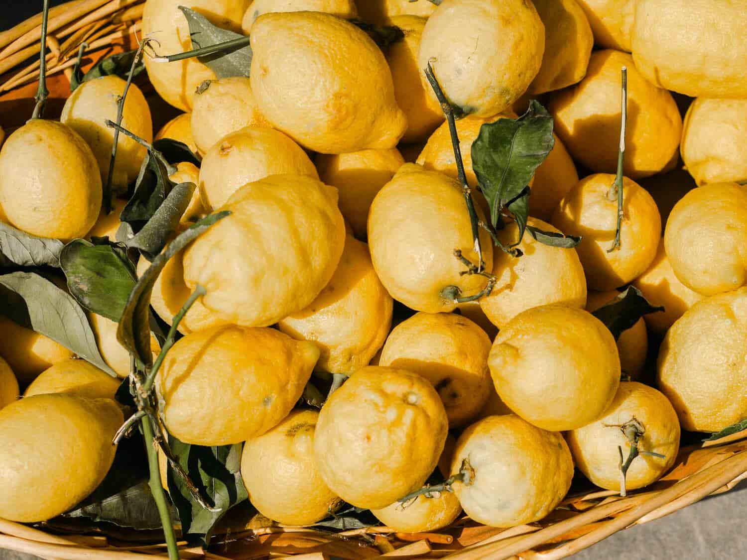 frutas de temporada enero limón