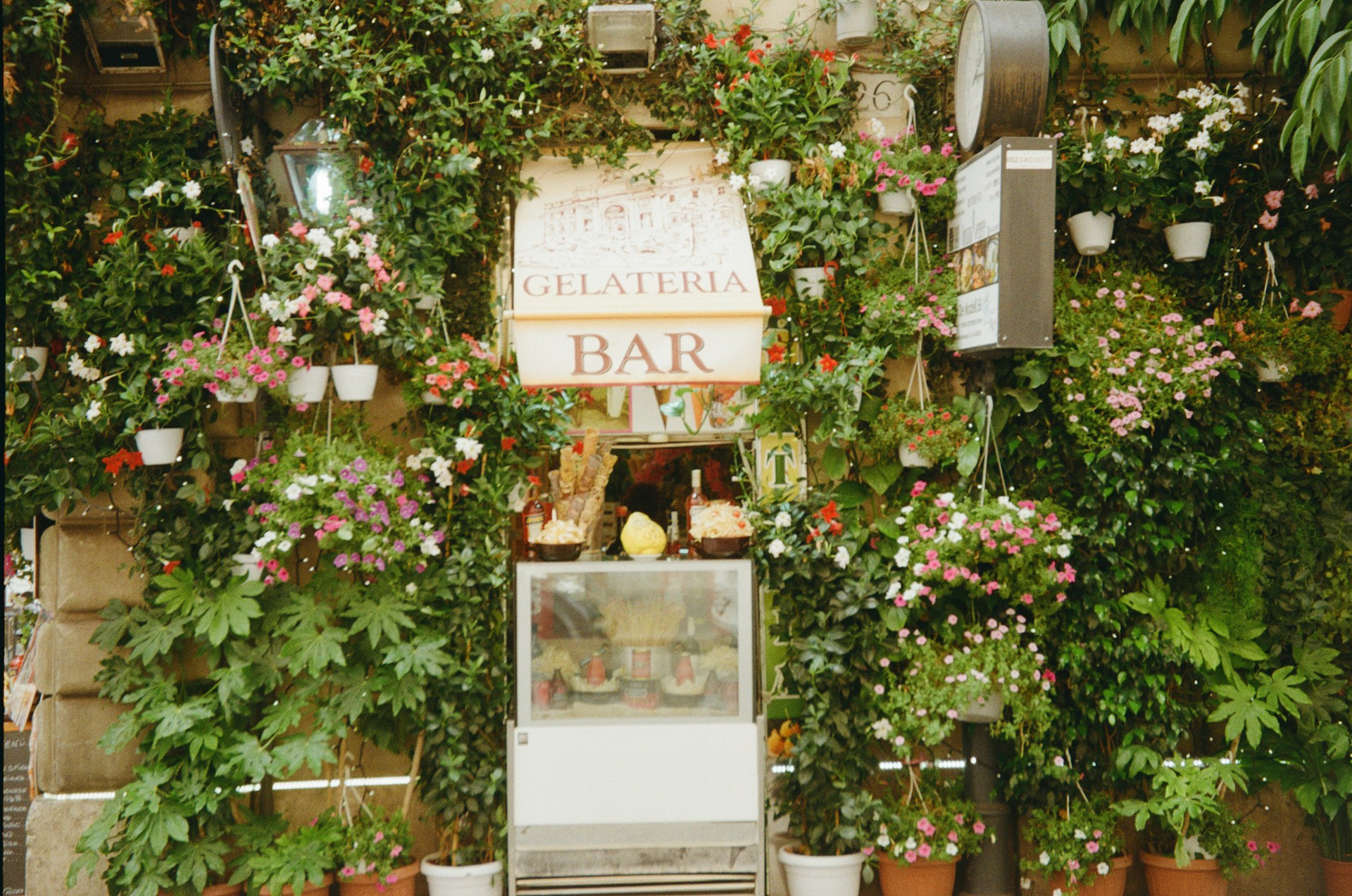 gelato artesanal