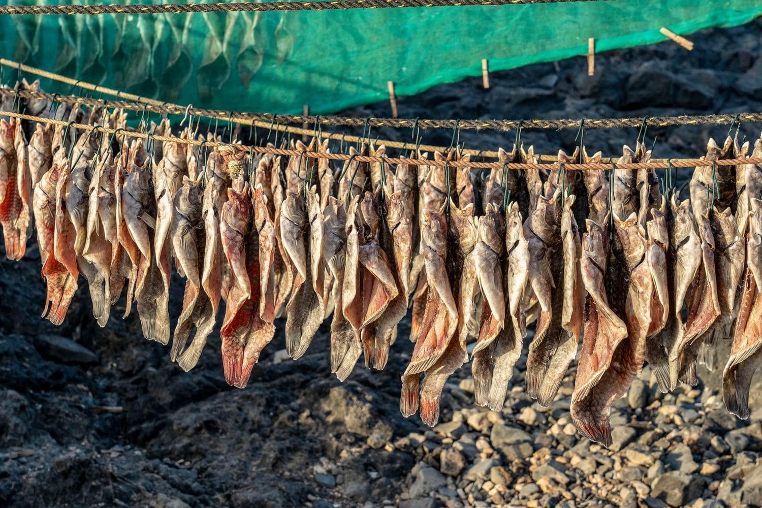 pescado a la espalda