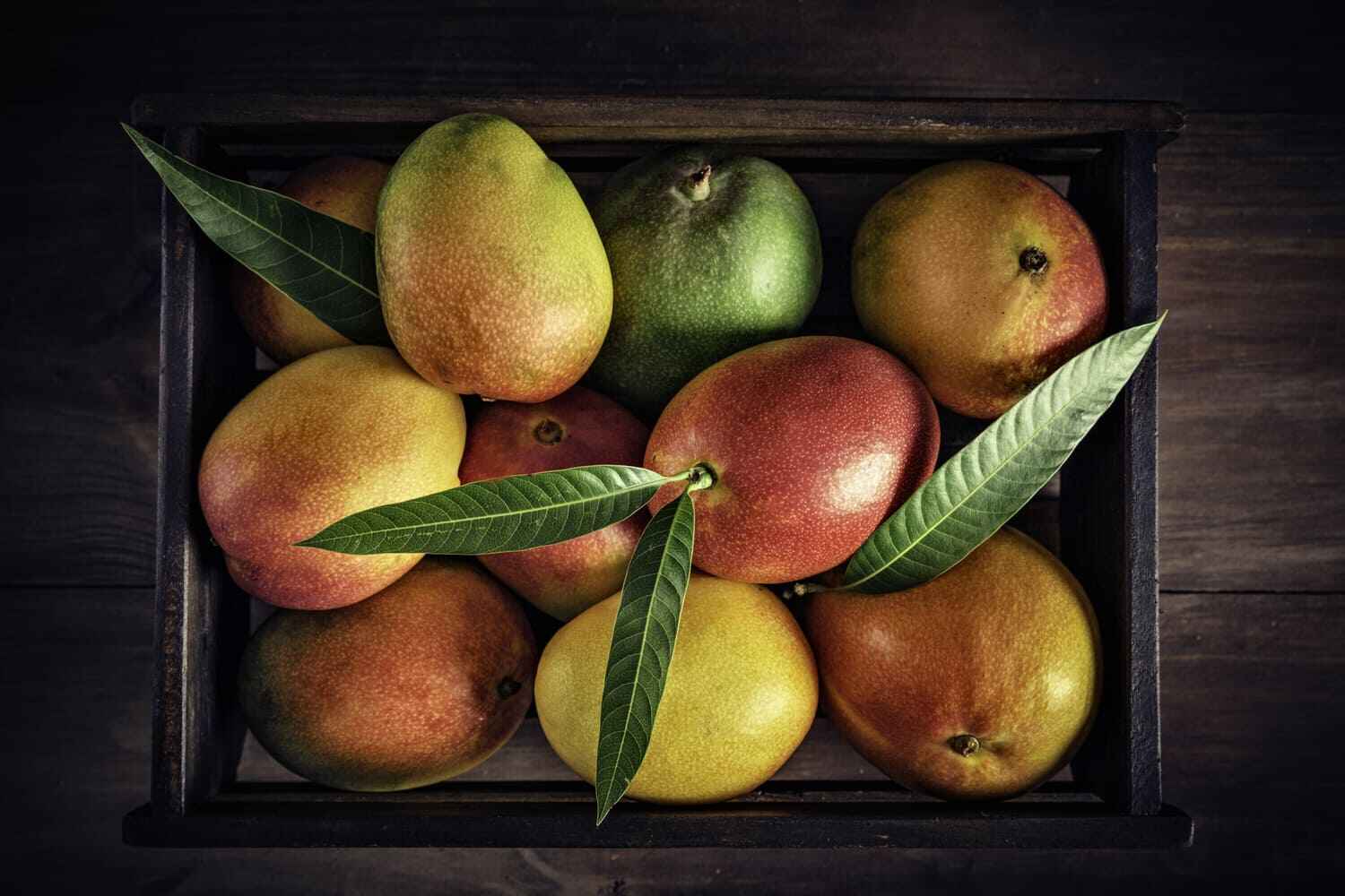 mango