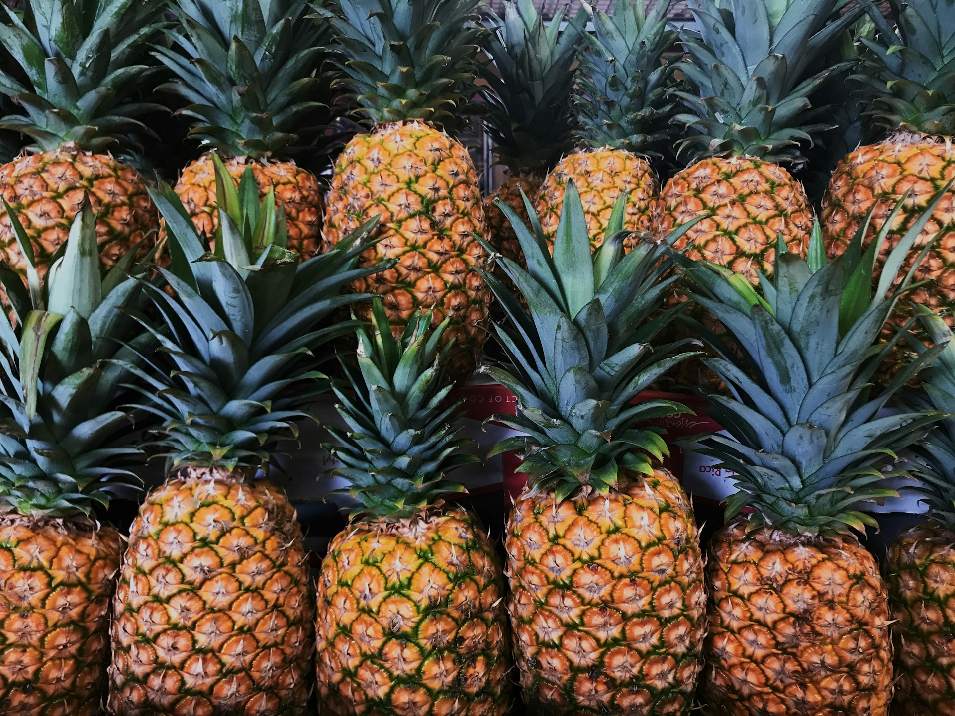 piñas