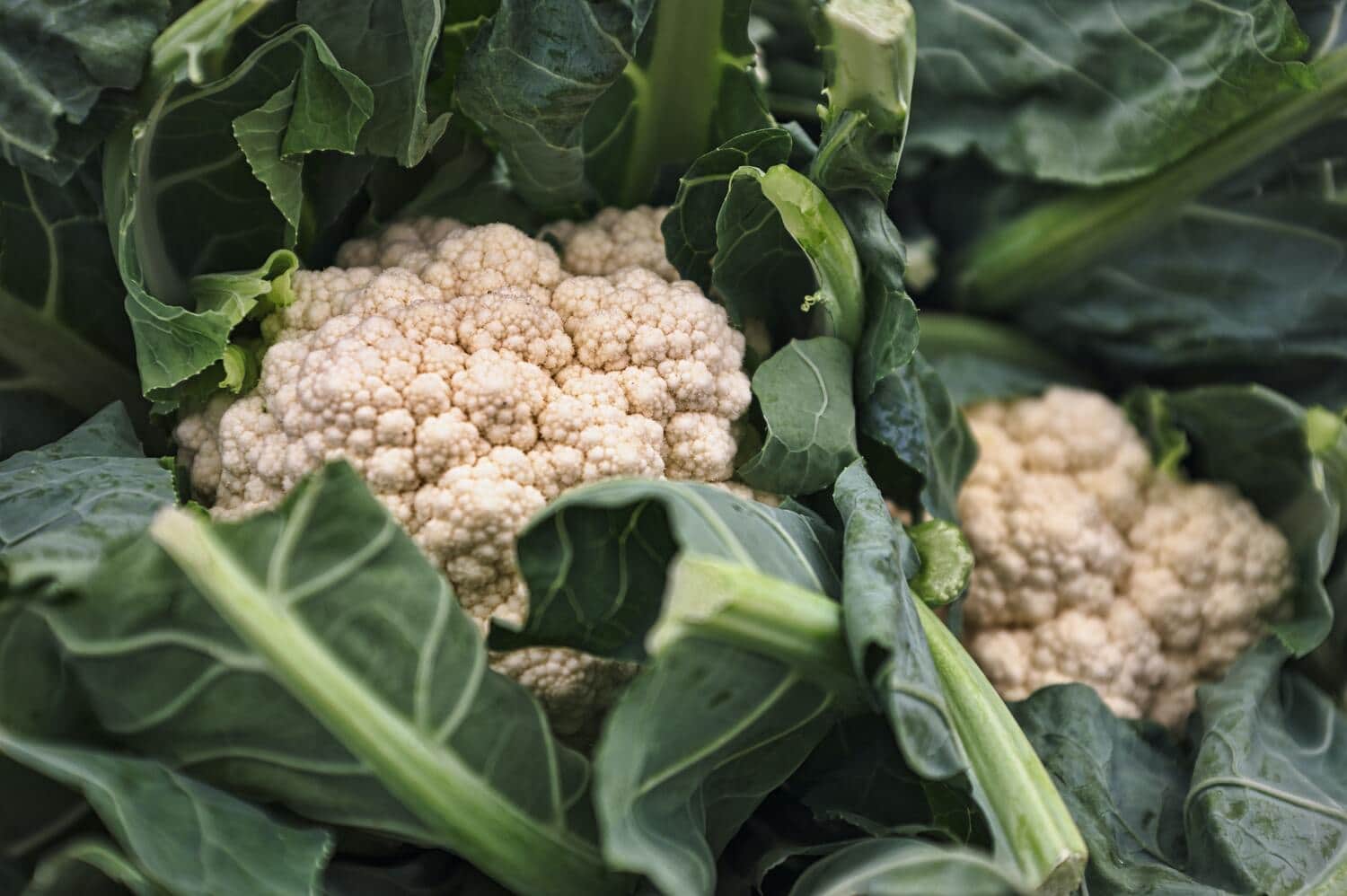 verduras de abril coliflor