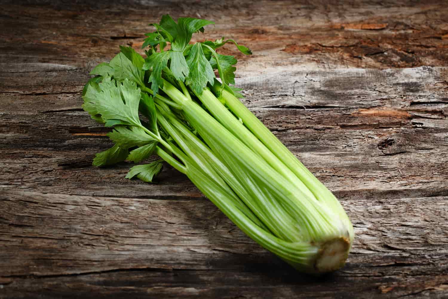 verduras de febrero apio