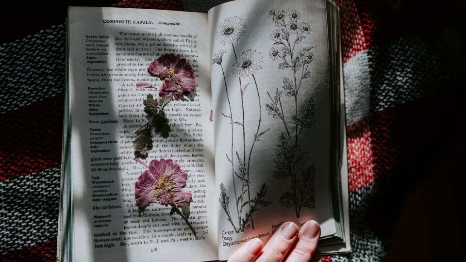 Cinco libros de poemas para celebrar la primavera y el día de la poesía