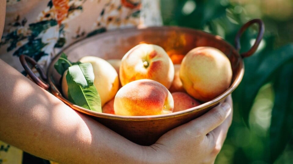 Junio, el preludio del verano: cinco productos para hacer la compra (y cocinar) sin prisas