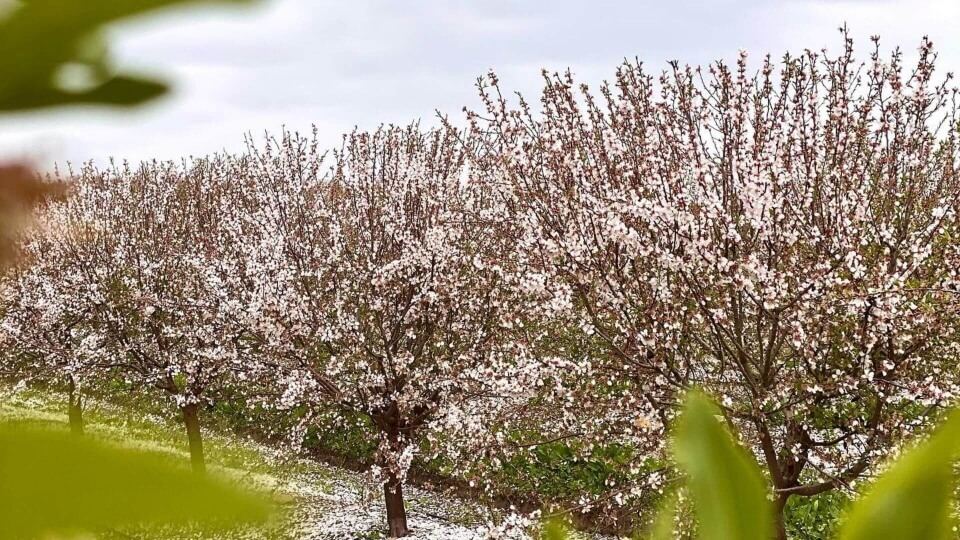 Dehesa Fuente Ymbro, sabores que condensan la esencia de la sierra de Cádiz