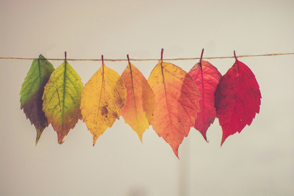 Más allá de las calabazas: cómo conseguir que tu hogar respire otoño