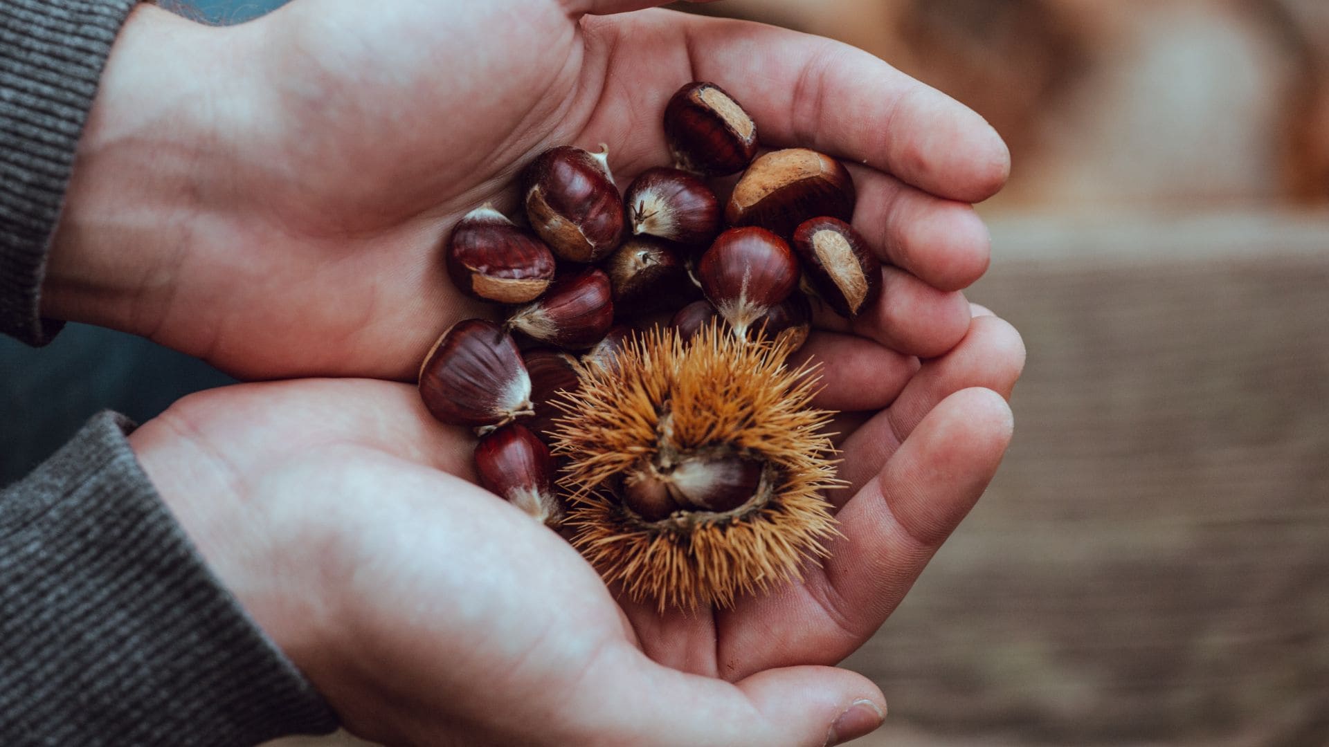 Alimentos de temporada de noviembre: un homenaje a la naturaleza del bosque a la despensa