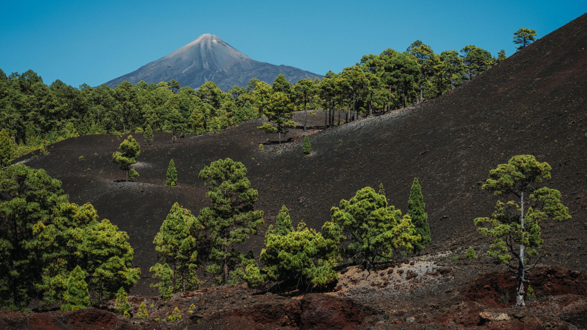 Paraíso tropical: direcciones imprescindibles para disfrutar del lado más desconocido de Tenerife