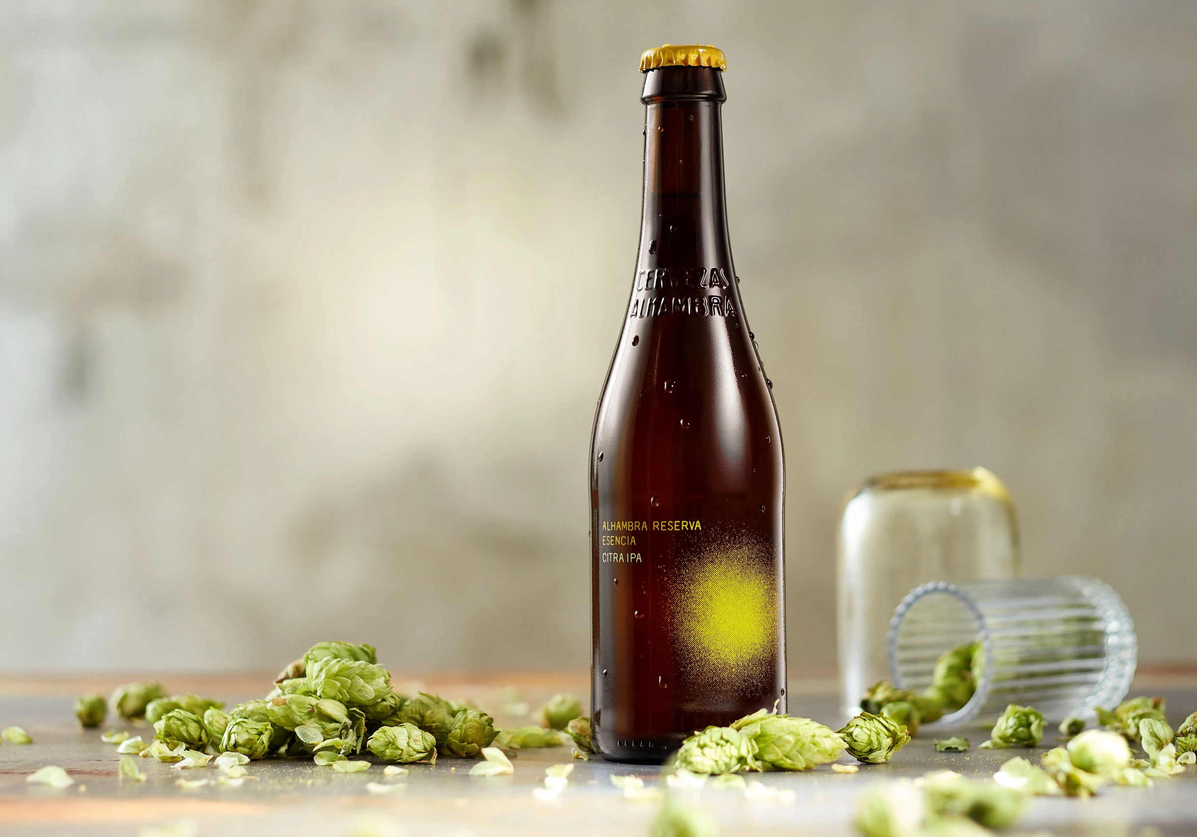 IPA: la cerveza que conquistó al mundo a base de lúpulo
