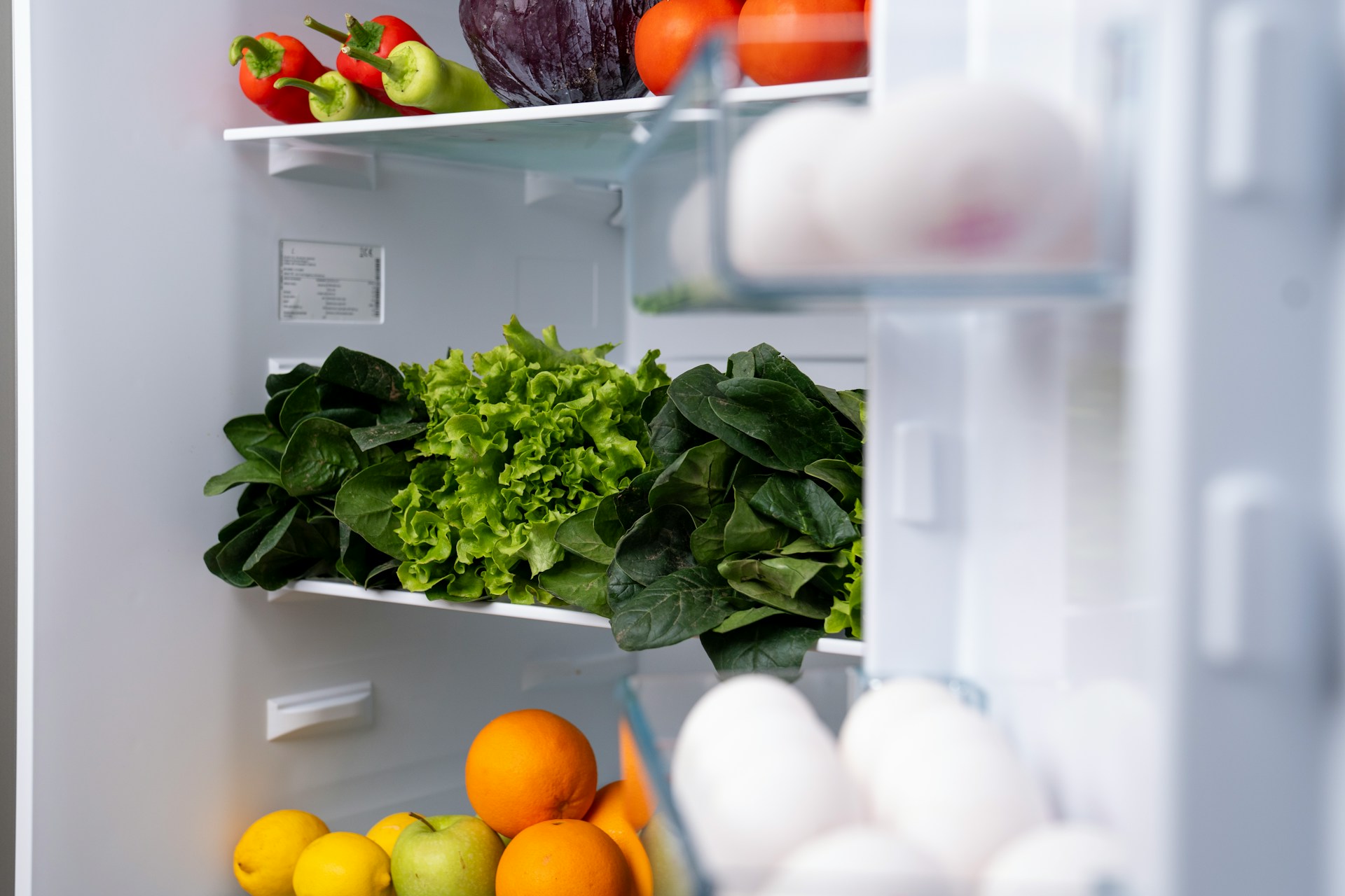 ¿Esto va en la nevera? Guía práctica para conservar mejor los alimentos