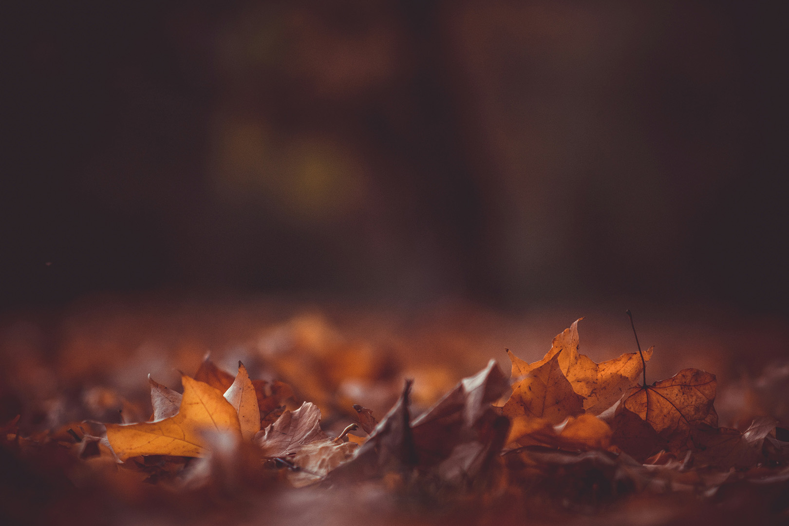 Rituales de verano que podemos trasladar al otoño para esquivar la morriña estival