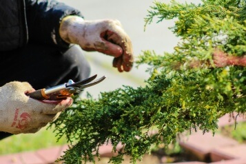 También hay tendencias en la primavera: así serán los jardines este 2026