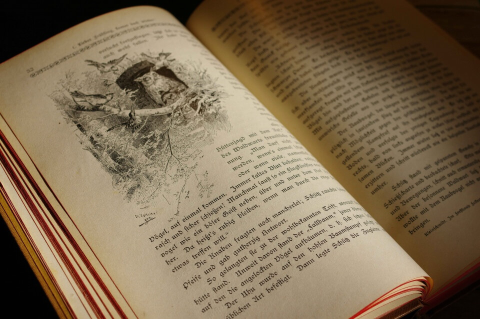 ¿Juzgar un libro por su portada? Cómo la literatura se convirtió en objeto de decoración