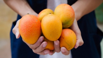 Descubre los manjares de la Costa Tropical y tres recetas sorprendentes