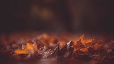 Rituales de verano que podemos trasladar al otoño para esquivar la morriña estival