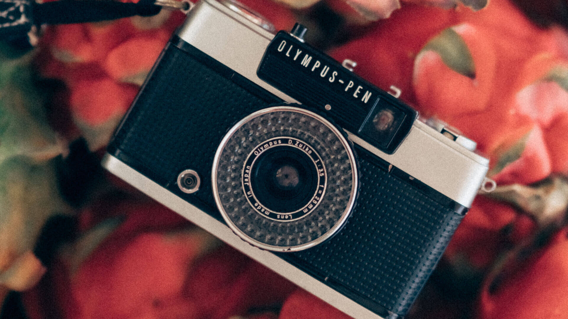 El arte está en los ojos del que mira: enamórate de la fotografía en casa