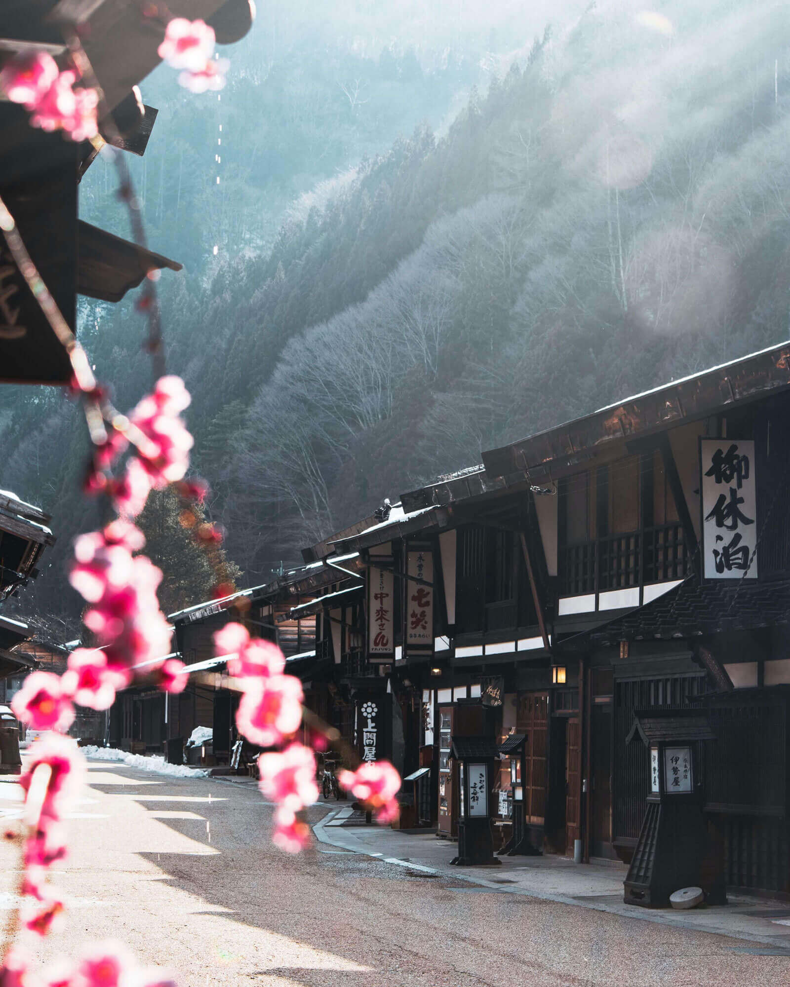 El día que Japón se enamoró del flamenco