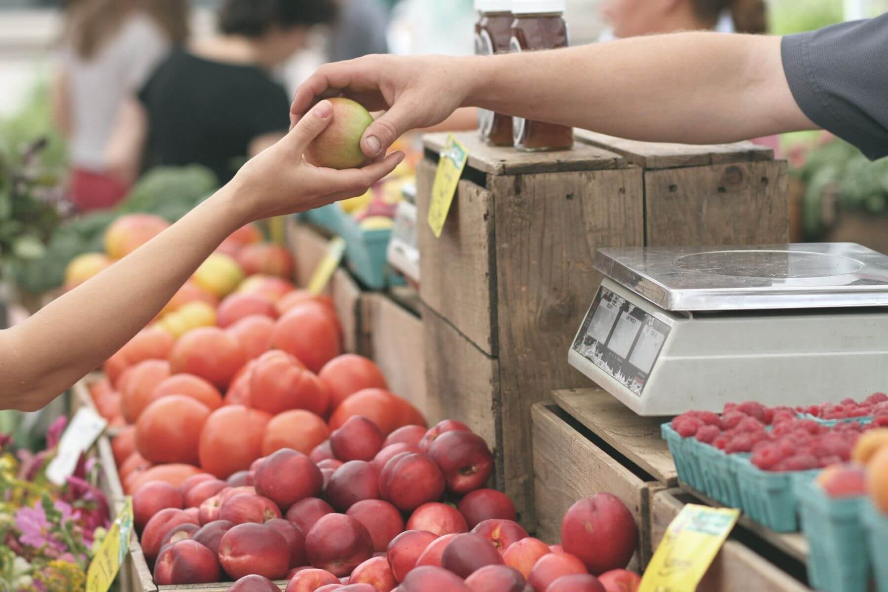 Tomates que saben a tomate: los mercados ecológicos nos traen el verdadero sabor de la huerta