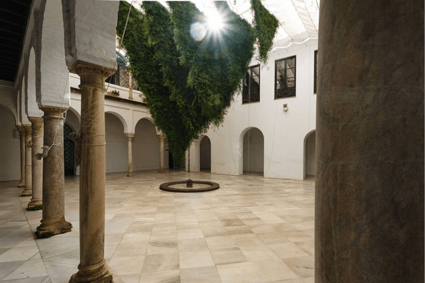 Crear sin prisa - Flora - Cervezas Alhambra