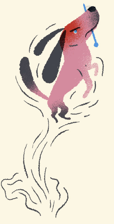 lapso 5